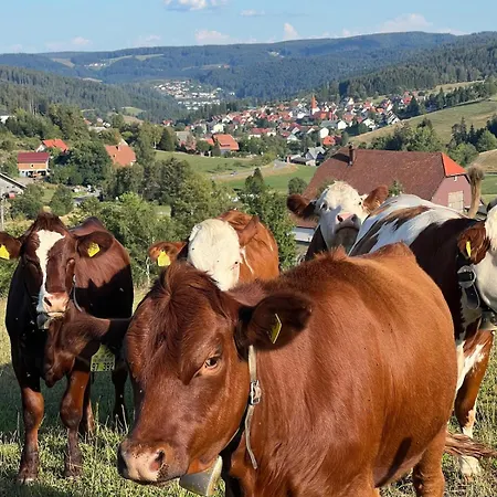 Διαμέρισμα Kennys Bergblick Pool Sauna Tennis Schonach im Schwarzwald
