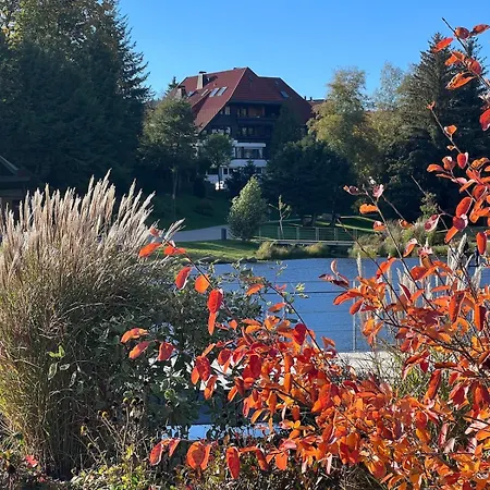 Διαμέρισμα Kennys Bergblick Pool Sauna Tennis Schonach im Schwarzwald